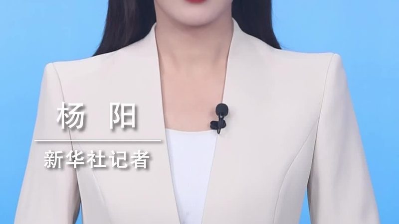 移动端数据安全风险评估：如何构建全面的安全防护体系